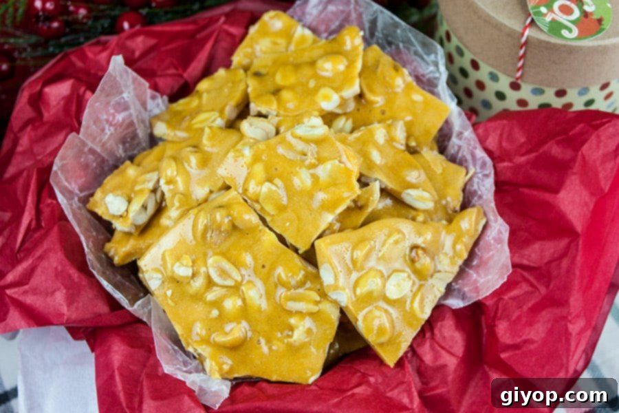 Generous pieces of old-fashioned peanut brittle nestled in a decorative tin, lined with cheerful red tissue paper, ideal for a homemade gift.