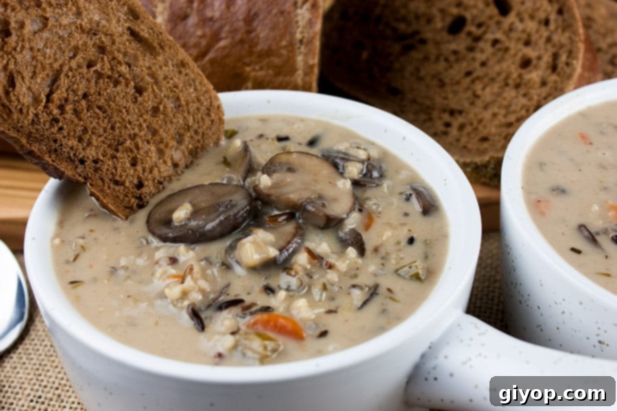 Close-up of wild rice and mushroom soup, showcasing its rich texture and ingredients.