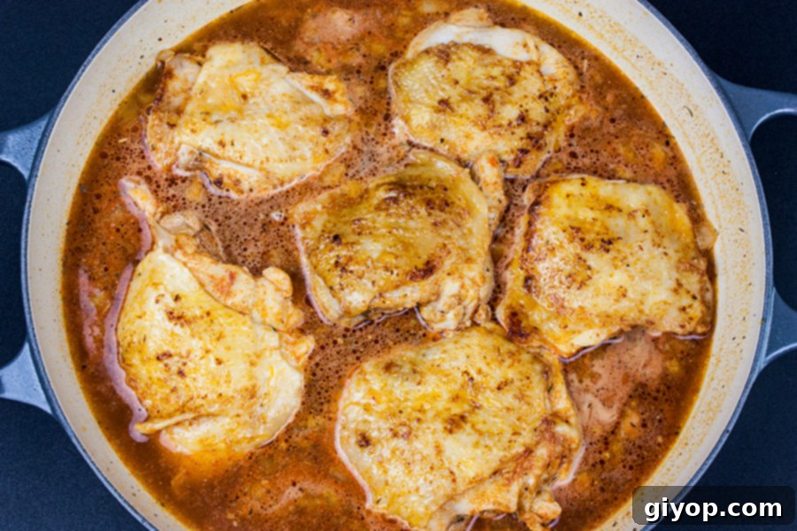 Spanish chicken thighs seared to a golden brown in an ovenproof skillet, with uncooked rice and broth added around them.