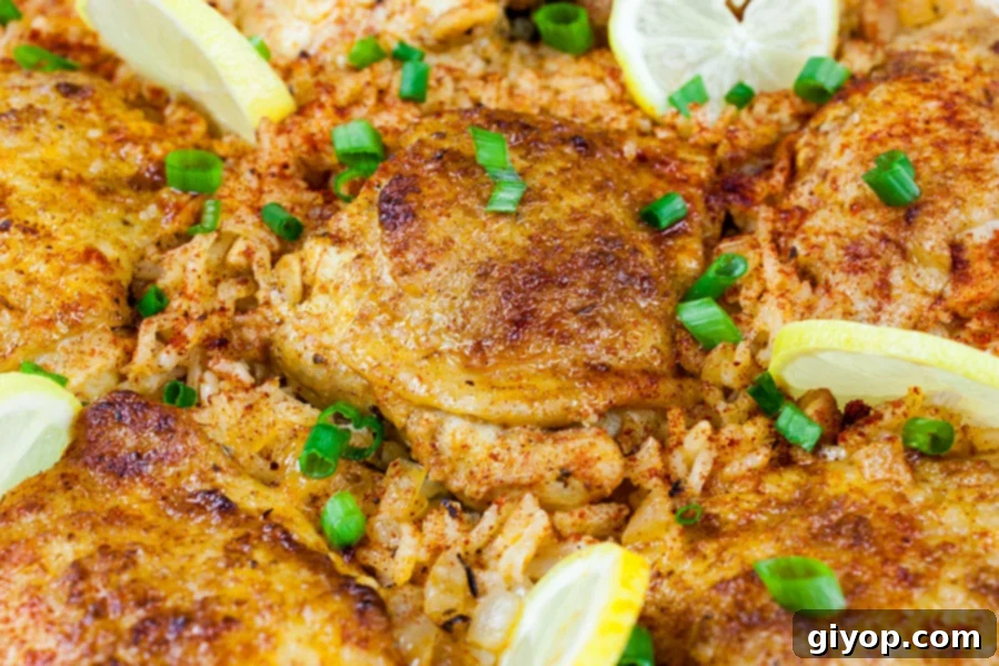 One Pan Spanish Chicken and Rice with a green onion garnish.