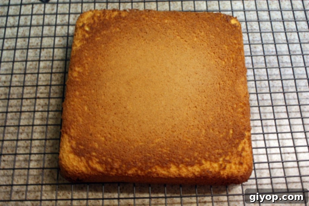 Effortless Tiramisu No Ladyfingers 4 A freshly baked Genoise cake, golden and airy, cooling on a wire rack, ready to become the foundation of a delicious Tiramisu.