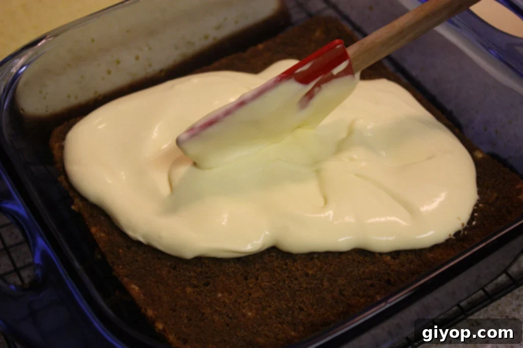 Effortless Tiramisu No Ladyfingers 10 The first layer of Genoise cake, moistened with coffee syrup, topped with half of the creamy mascarpone mixture, spread evenly.