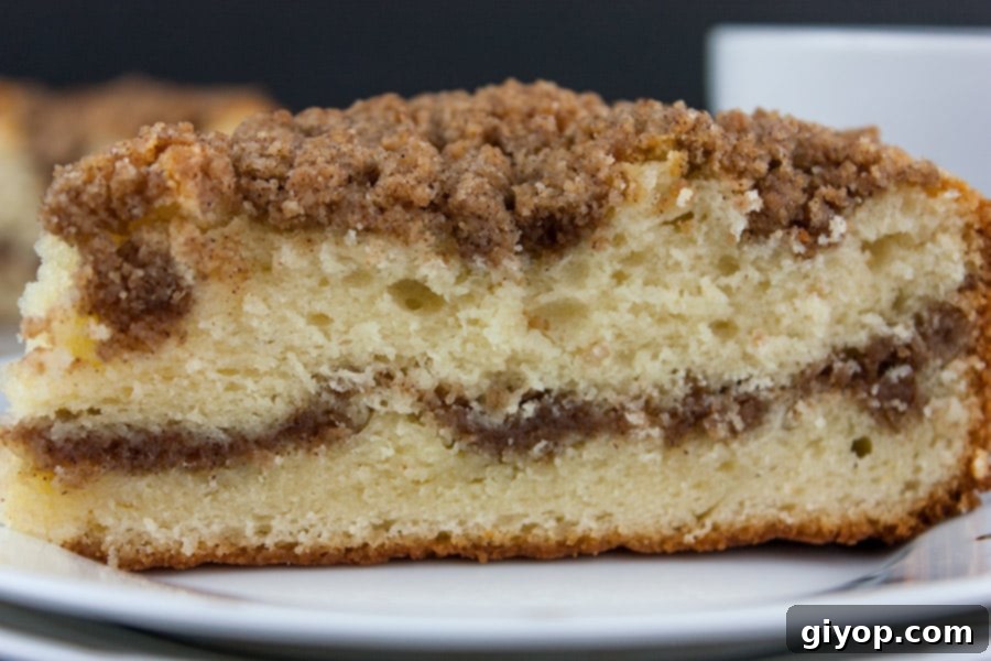 A generous slice of Cinnamon Crumb Coffee Cake on a pristine white plate, showcasing its moist texture and perfect streusel topping.