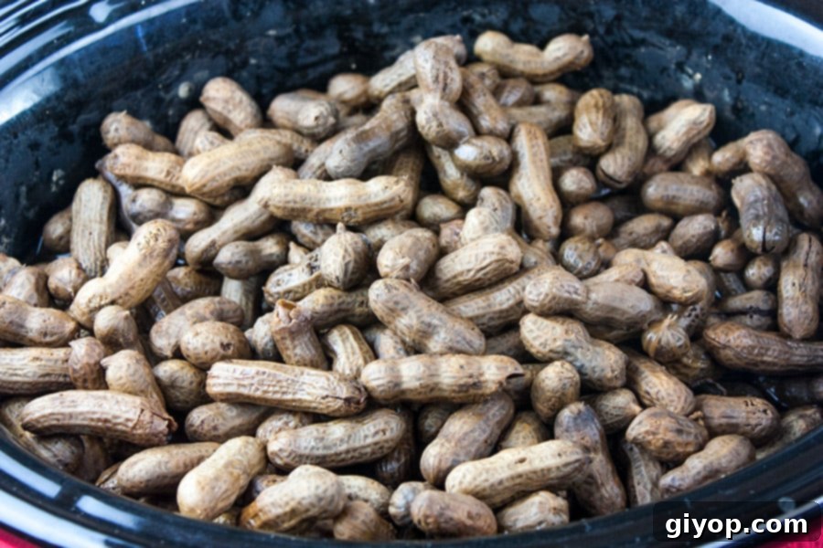 Easy Slow Cooker Boiled Peanuts 6 A slow cooker filled with raw peanuts, water, and seasonings, gently simmering.