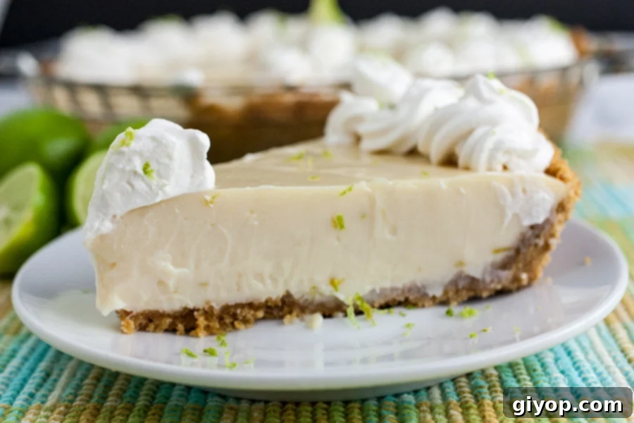 Another perspective of a delightful slice of Key lime pie on a light plate, beautifully garnished with homemade whipped cream and delicate lime zest, highlighting its creamy consistency and fresh appeal.