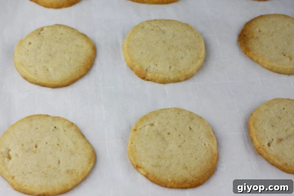 Zesty Lemon Cream Cookies 4 Lemon Sandwich Cookies - Tender, crunchy lemon shortbread cookies sandwiched with a zingy sweet lemon filling. Lemon lovers look no further!