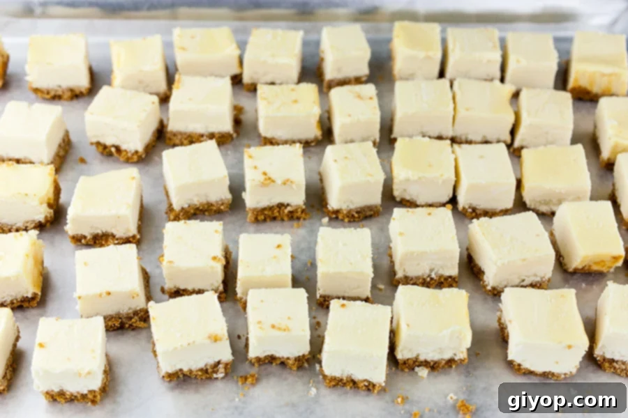 Chocolate Covered Cheesecake Bites - cheesecake neatly cut into 1-inch squares on a cutting board.