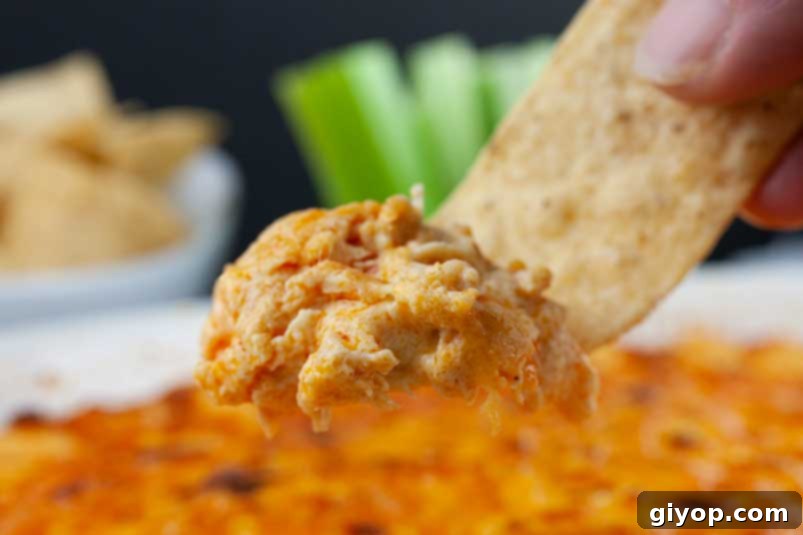 Whip Up The Best Buffalo Chicken Dip 3 A tortilla strip digging into some buffalo chicken dip.