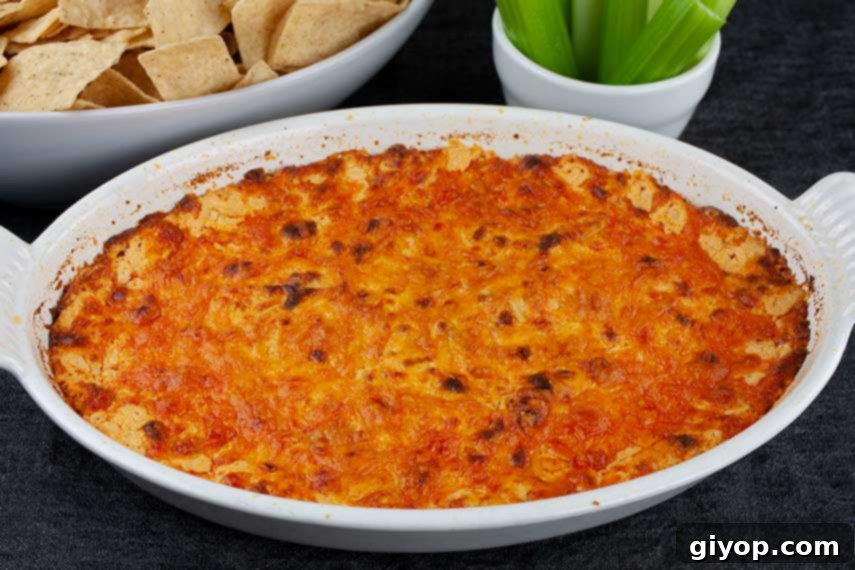 Whip Up The Best Buffalo Chicken Dip 6 Buffalo Chicken Dish - baked dip in a white casserole dish