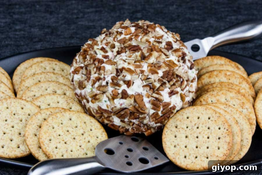 A finished pecan-crusted cheese ball, tightly wrapped in plastic wrap and ready for chilling to firm up and meld flavors.