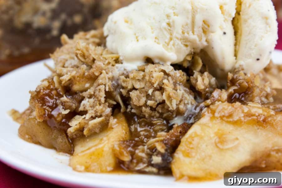 Classic apple crisp with oat topping on a white plate topped with vanilla ice cream.