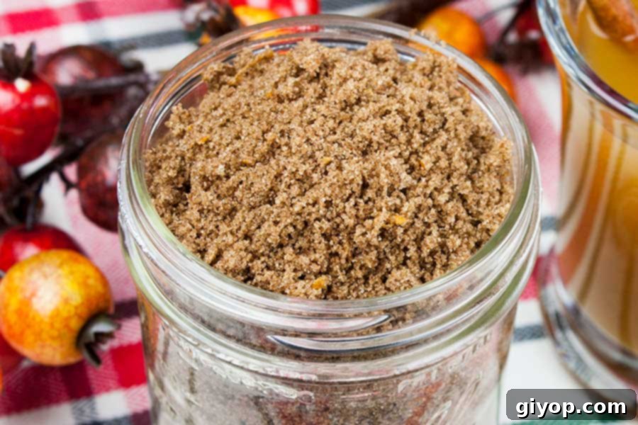 Homestyle Cider Spice Blend 4 Apple Cider Spice Mix - closeup of the spice mix in a mason jar with a glass mug of hot apple cider next to it
