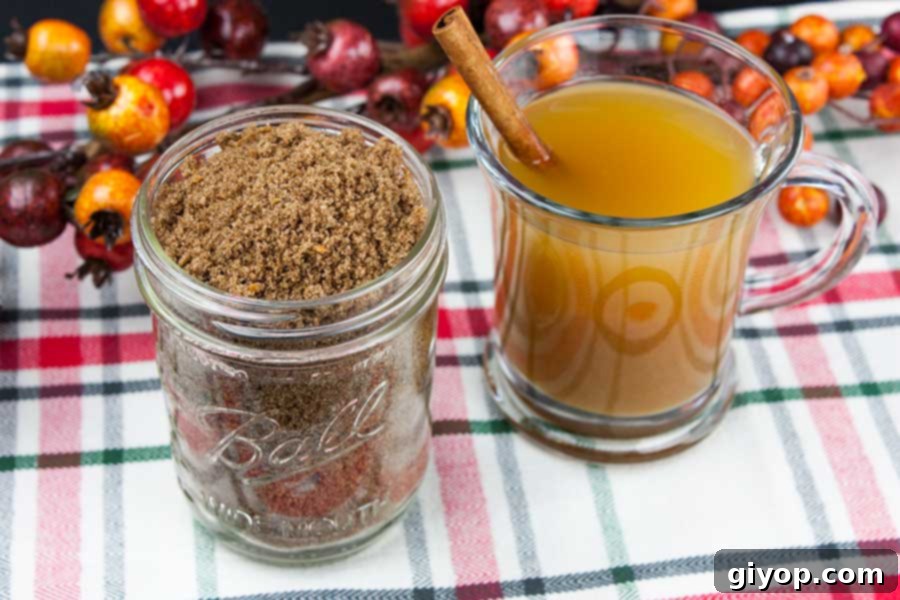 Homestyle Cider Spice Blend 5 Apple Cider Spice Mix - closeup of the spice mix in a mason jar with a glass mug of hot apple cider next to it
