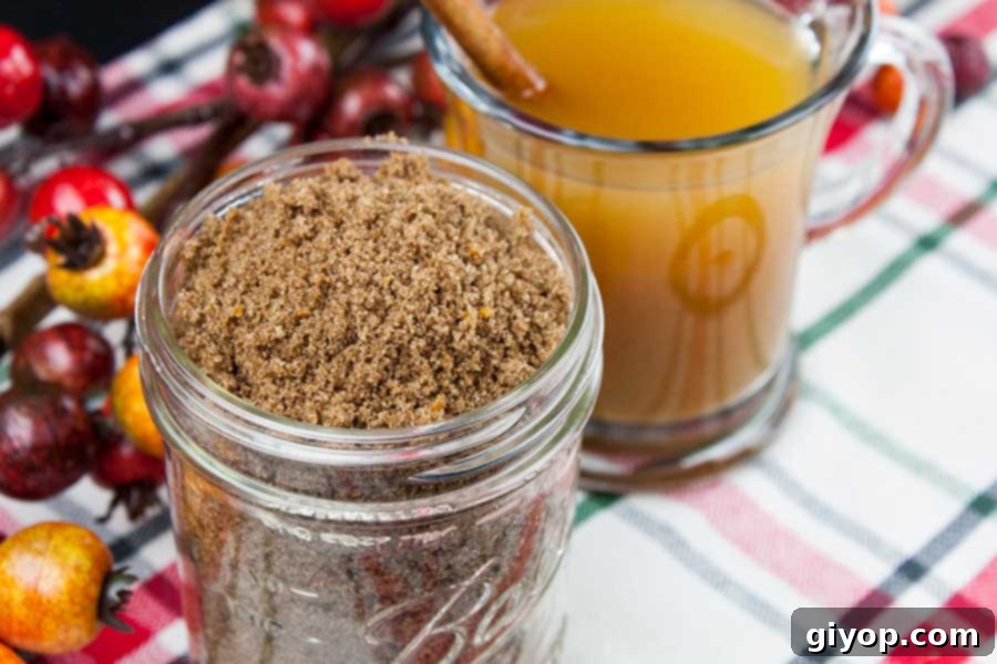 Homestyle Cider Spice Blend 6 Apple Cider Spice Mix - closeup of the spice mix in a mason jar with a glass mug of hot apple cider next to it