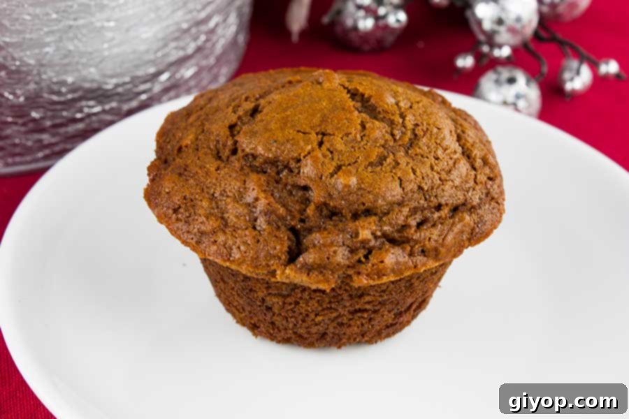 A single gingerbread muffin resting elegantly on a pristine white plate, showcasing its golden-brown crust and fluffy interior, ready to be enjoyed.