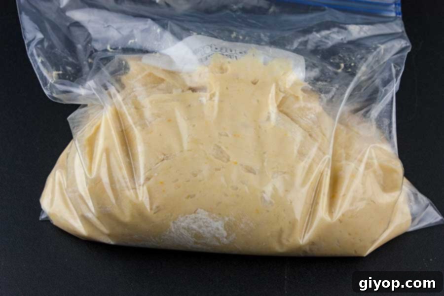 The panettone dough carefully placed in a resealable bag for overnight refrigeration.