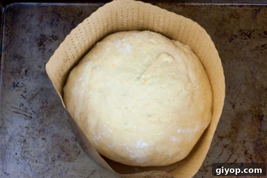 The formed panettone dough placed in a paper mold on a baking sheet.