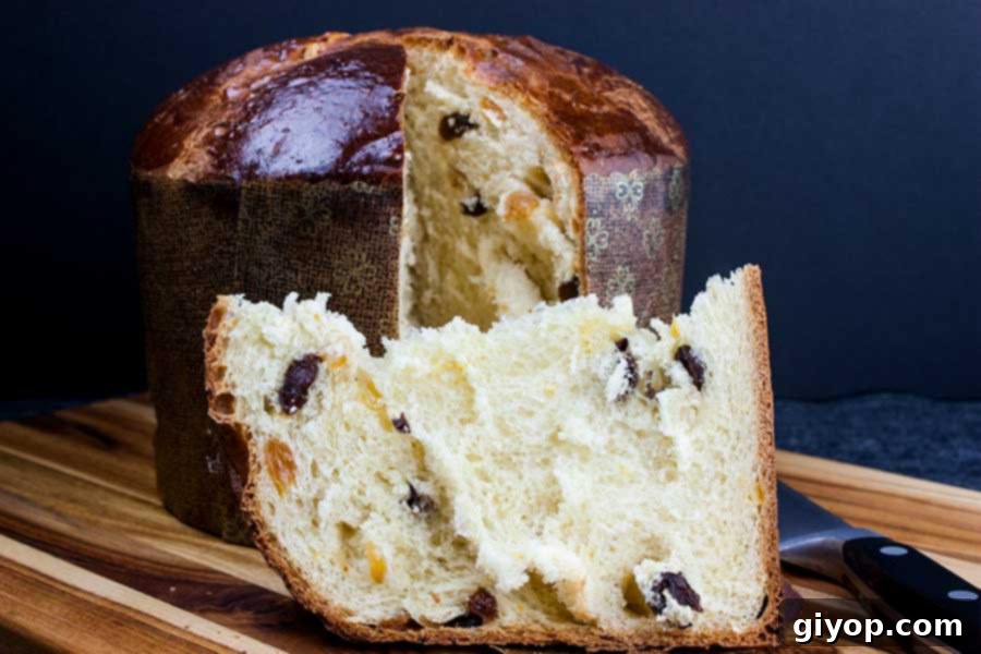 A generous slice of Panettone bread on a wooden board, showcasing its light texture and fruit.