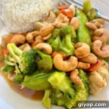 A serving of cashew chicken stir fry with rice.