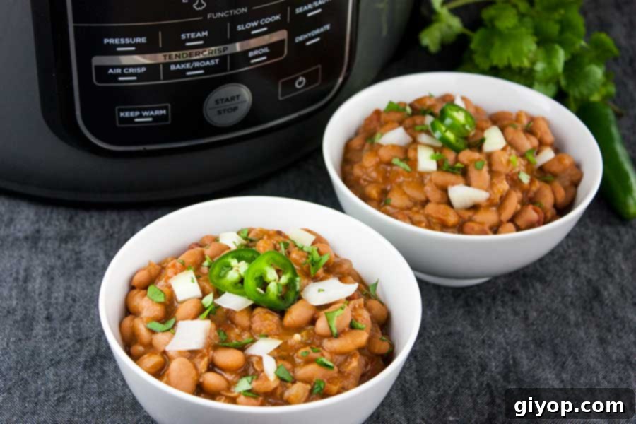 A bowl of Ninja Foodi Mexican Pinto Beans, perfectly garnished and ready to be served as a delicious and satisfying meal.