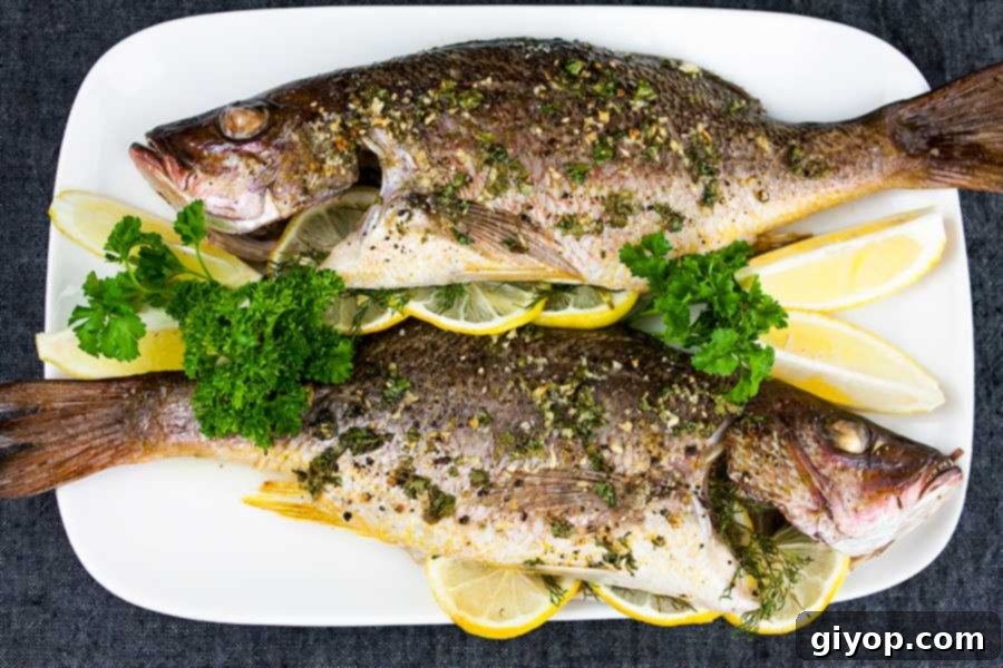 Whole Roasted Red Snapper 3 A beautifully baked whole red snapper, presented on a pristine white platter and elegantly garnished with fresh lemon wedges and vibrant parsley.