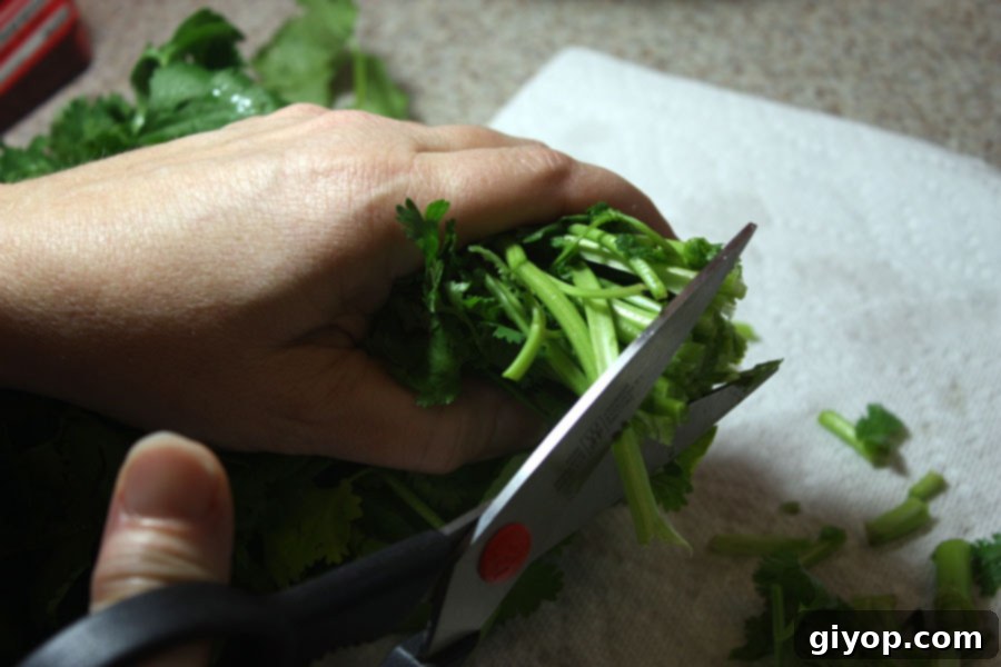 Scissors trimming the ends off of fresh parsley stems to prepare for storage.