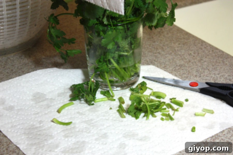Fresh parsley sprigs standing upright in a glass partially filled with water, ready for refrigeration.