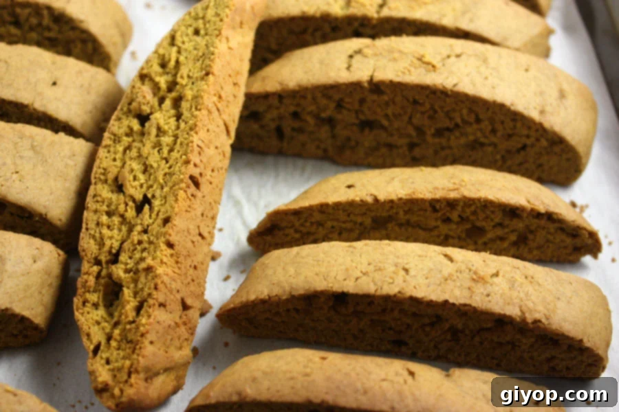 Autumn Spice Latte Biscotti 5 Rows of baked pumpkin spice biscotti laid out on a baking sheet, ready for their second bake to achieve perfect crispness.