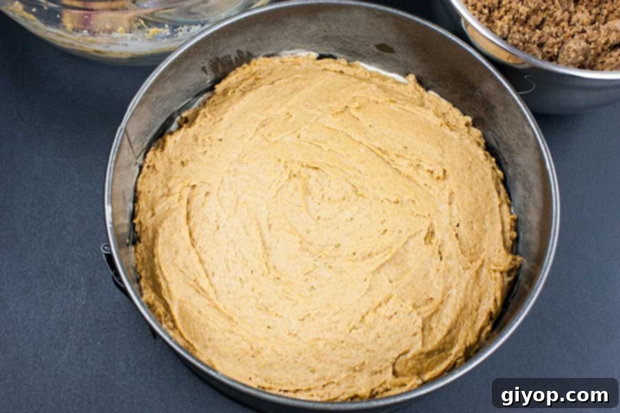 Cake batter in a springform pan.