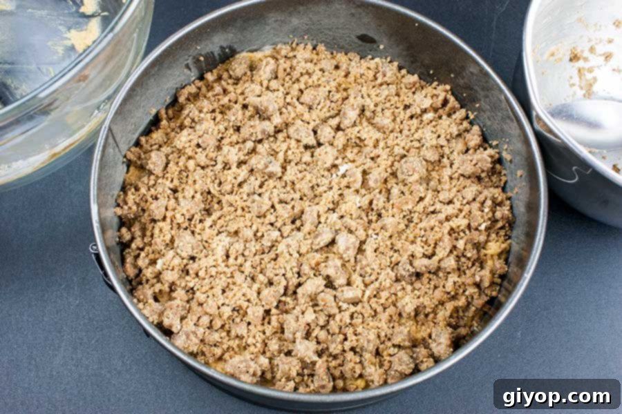 Streusel sprinkled over top fo the cake batter.