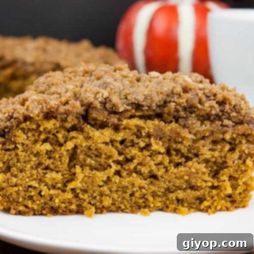 A slice of pumpkin coffee cake with streusel topping on a white plate.