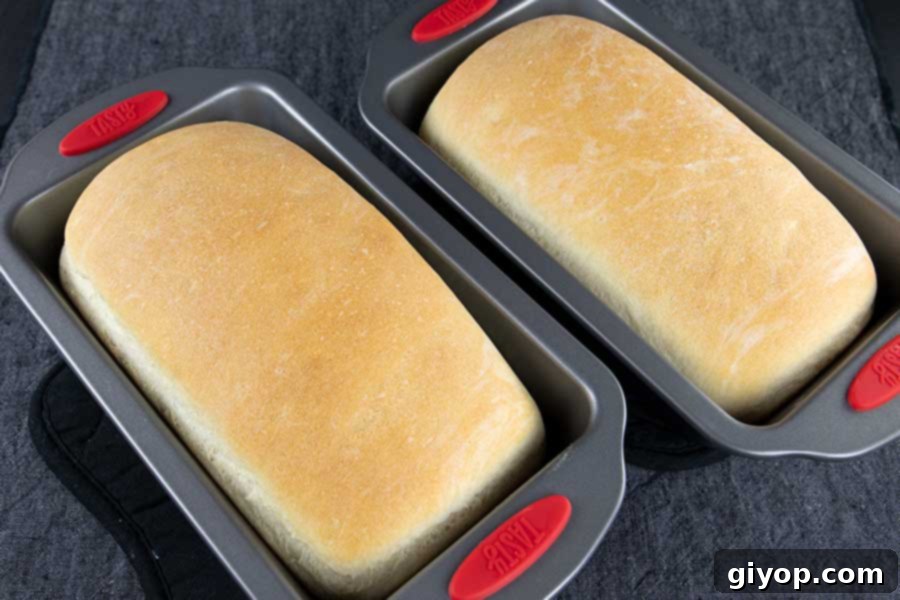 two loaves of freshly baked bread