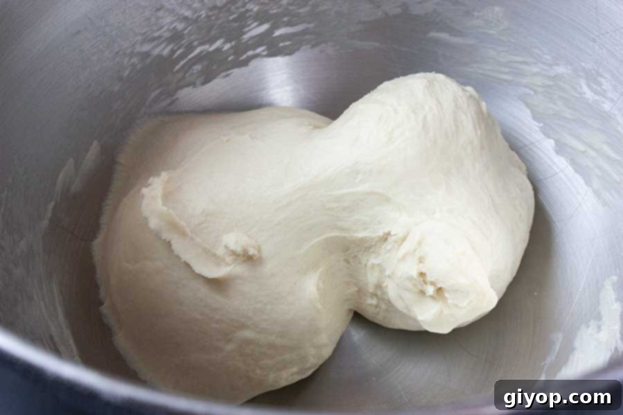 Bread dough in a mixer bowl.