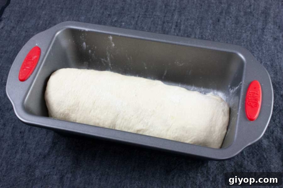 Bread dough in a 9x5 baking pan.