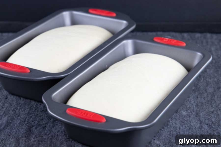 Risen dough in baking dishes.