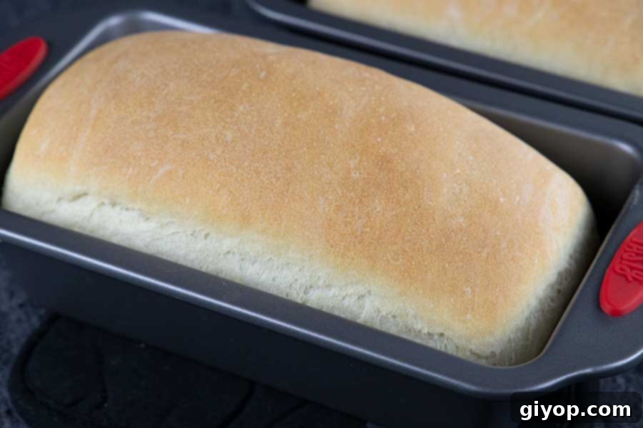 Fresh baked bread.