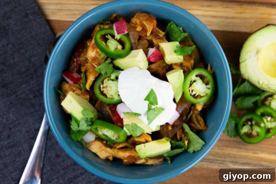 Delicious Gluten Free Chicken Fajita Stew 7 A beautifully garnished bowl of chicken fajita stew, topped with fresh jalapeños, creamy avocado slices, vibrant cilantro, and crisp chopped radish, presented in a blue bowl.