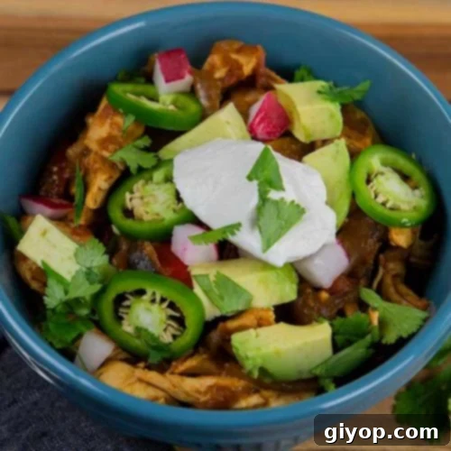 Delicious Gluten Free Chicken Fajita Stew 8 A blue bowl of chicken fajita stew, perfect for a healthy and flavorful meal.