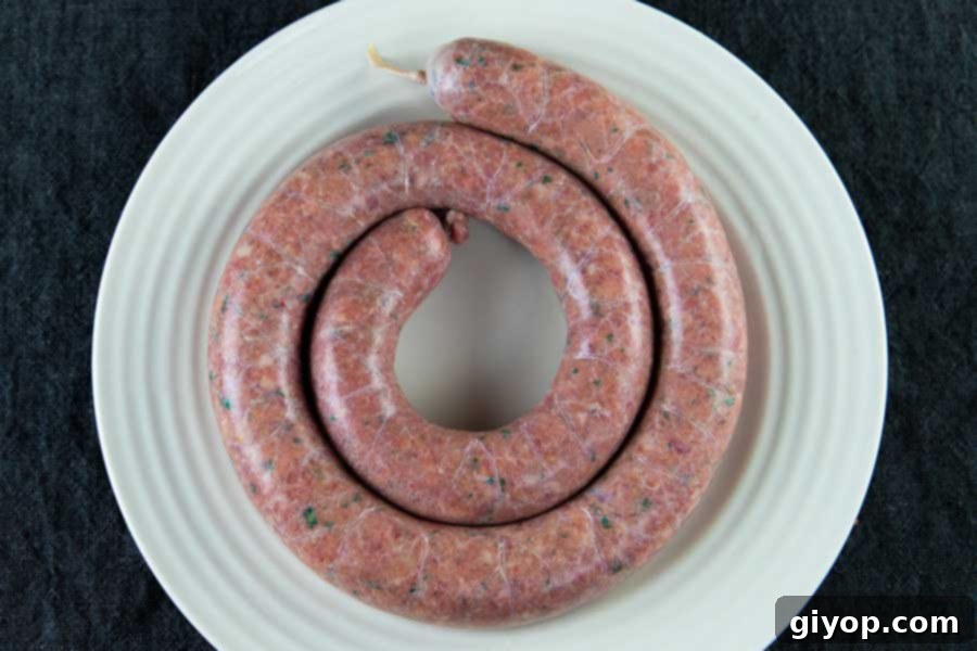 A coil of uncooked Italian sausage on a light plate.
