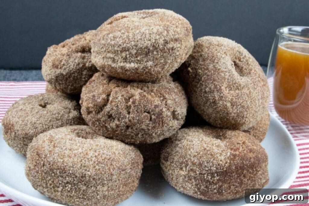 Ultimate Apple Cider Donuts Boiled Cider Edition 6 A stack of perfectly fried and sugar-coated apple cider donuts on a clean white plate, ready to be enjoyed.