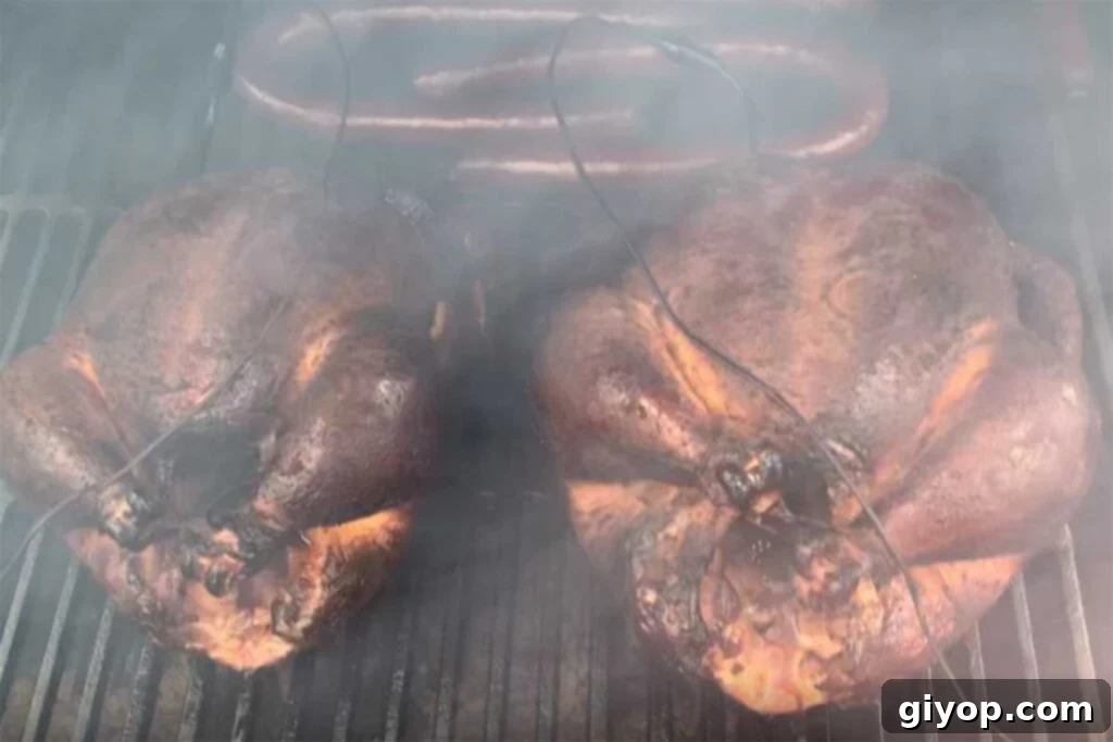 Two whole smoked chickens in the smoker with sausage, showcasing the cooking process.