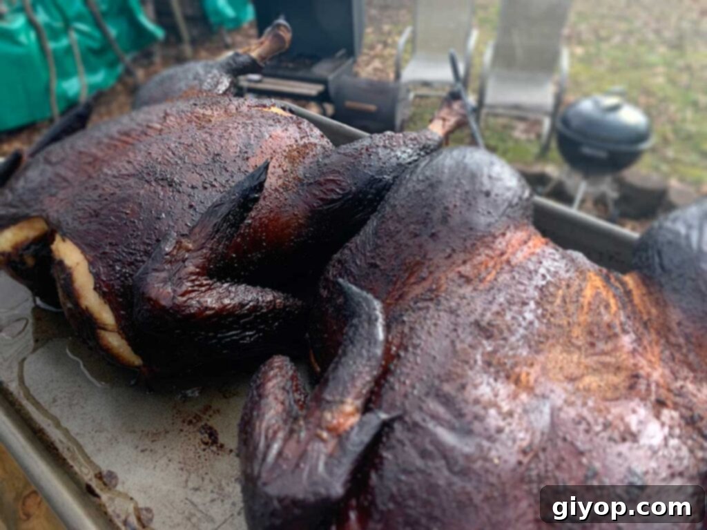 Two smoked chickens, spatchcocked, immediately after being removed from the smoker.