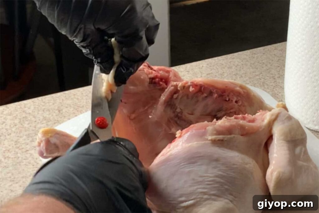 Removing excess skin and fat from a spatchcocked chicken.