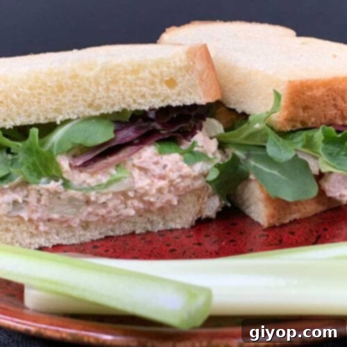 Smoked chicken salad sandwich on a red plate with celery sticks.