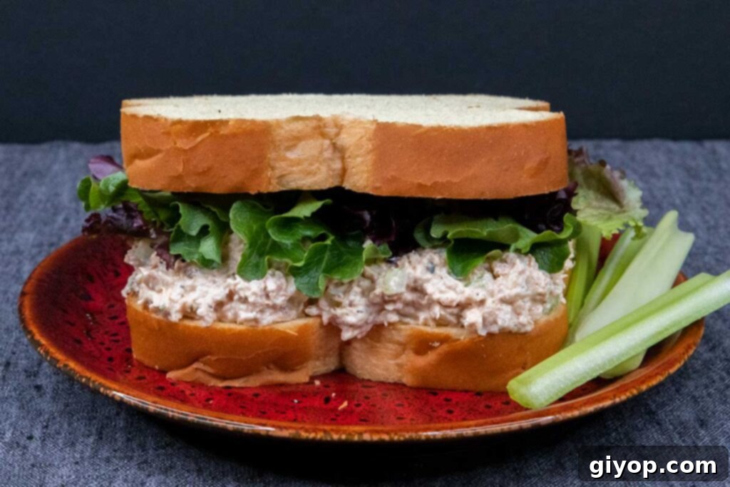 Smoked chicken salad sandwich with celery as a garnish on a vibrant red plate, showcasing its appetizing presentation.