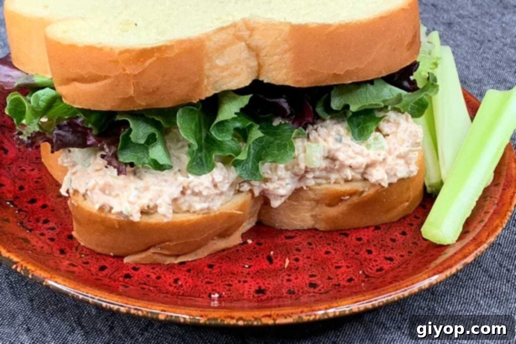 Smoked chicken salad sandwich on a red plate, highlighting a tempting serving suggestion.