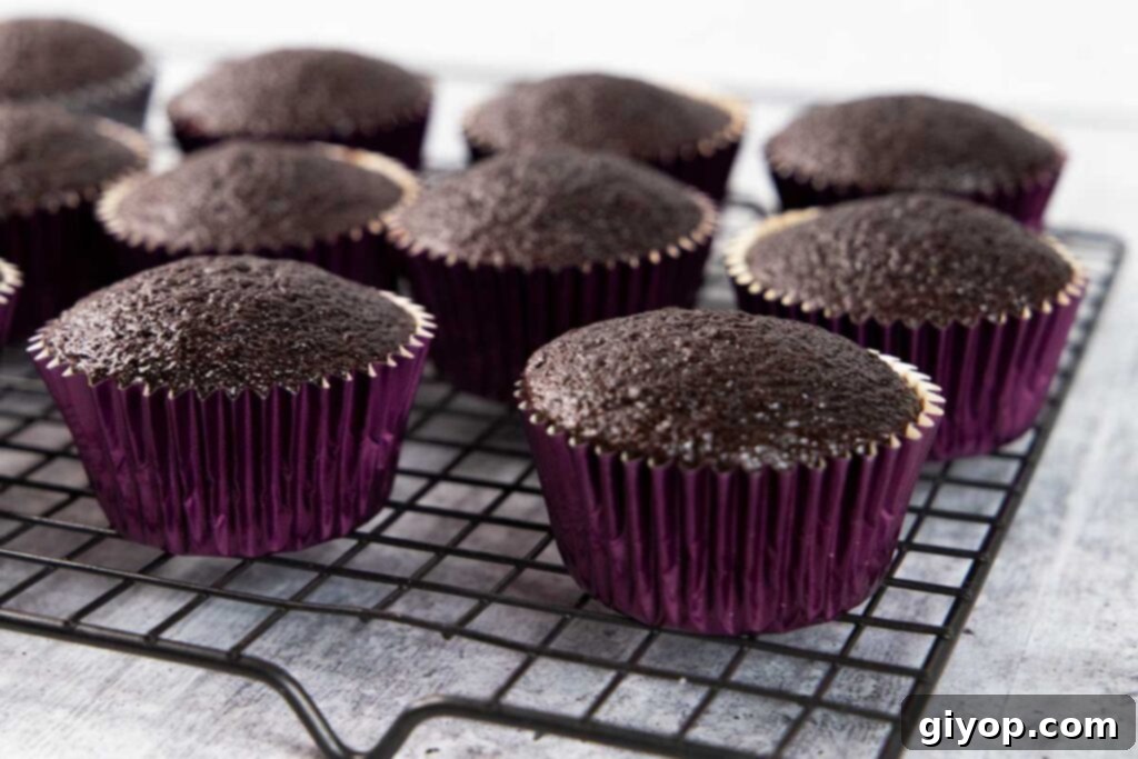 Decadent Chocolate Cupcakes 4 Freshly baked, unfrosted chocolate cupcakes resting on a wire cooling rack, awaiting their decadent chocolate buttercream.