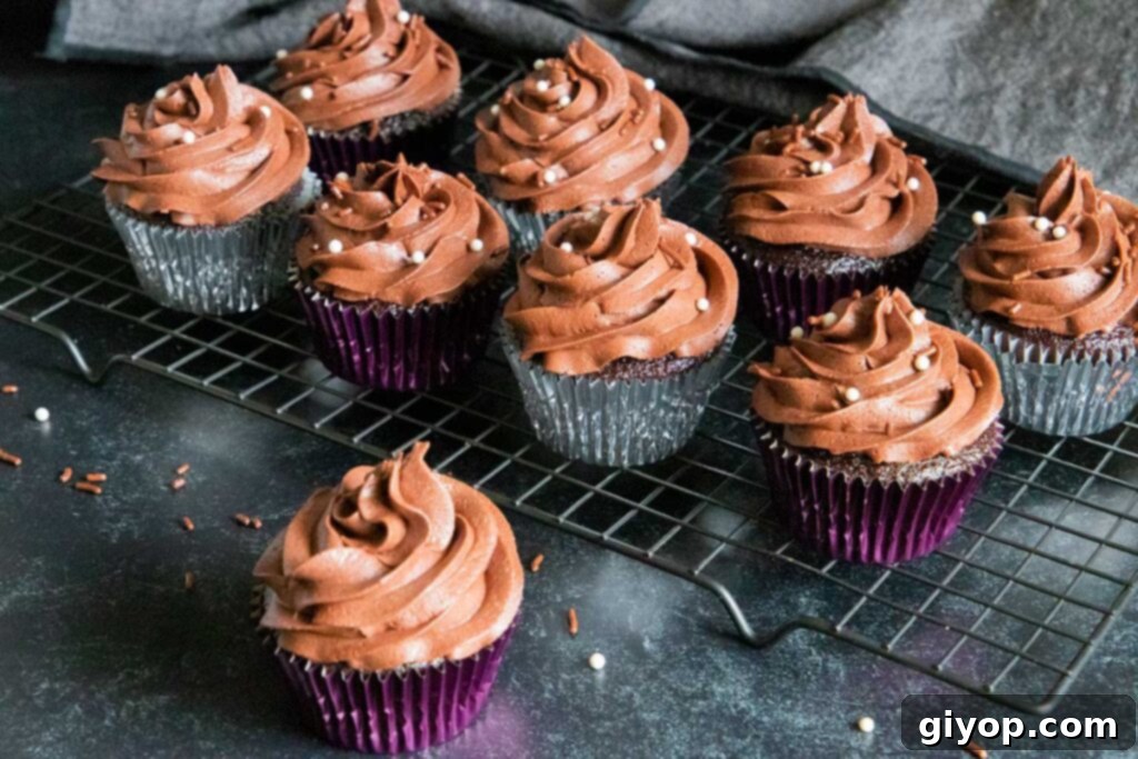 Decadent Chocolate Cupcakes 5 A trio of decadent chocolate cupcakes, generously frosted with rich chocolate buttercream and adorned with chocolate sprinkles, invitingly presented.