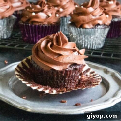 Decadent Chocolate Cupcakes 6 A chocolate cupcake on a pewter platter, featured in the recipe card