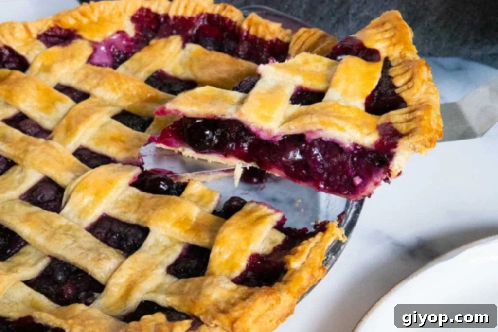 A close-up shot of a slice of blueberry pie, highlighting the juicy blueberry filling and the golden-brown, textured pie crust.